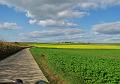 Herfstrit-Follow the Leader op 7-10-2012 (189)